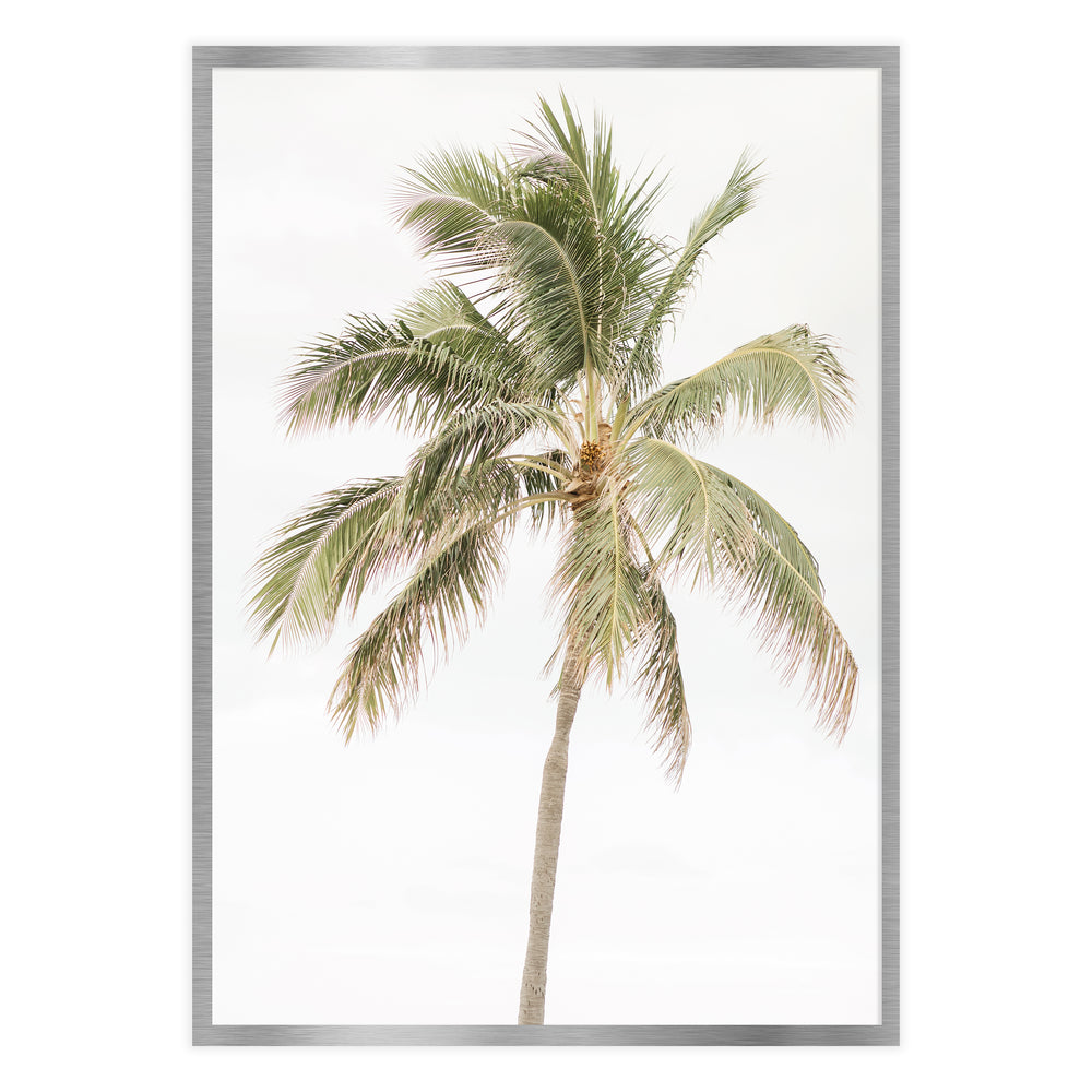 Palm Tree Photography Wall Art