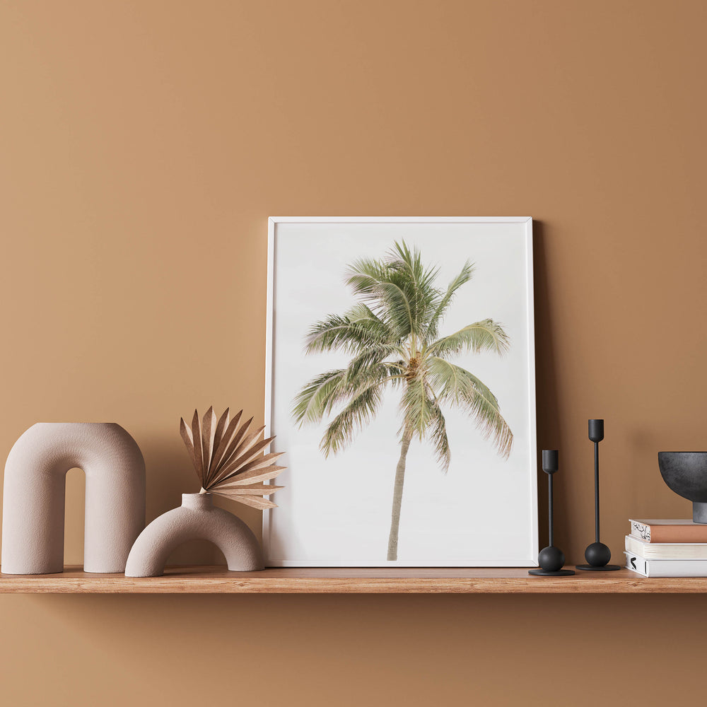 Palm Tree Photography Wall Art