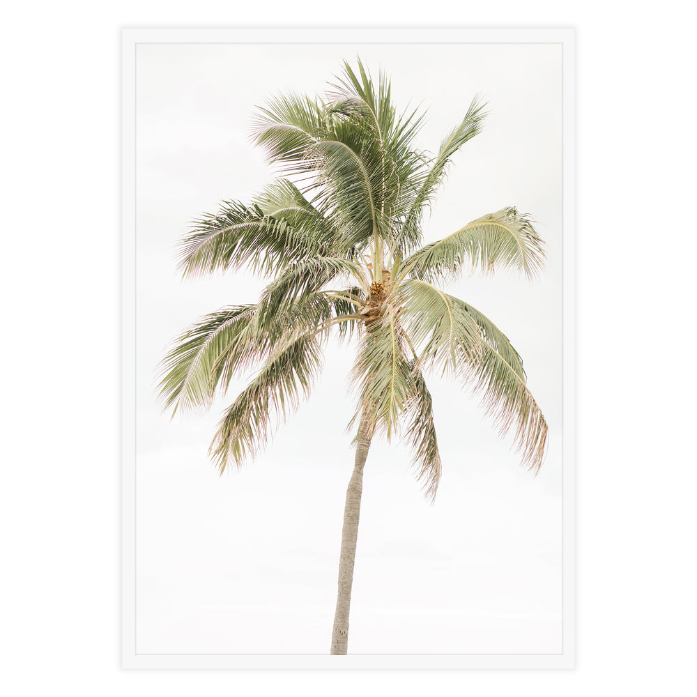 Palm Tree Photography Wall Art