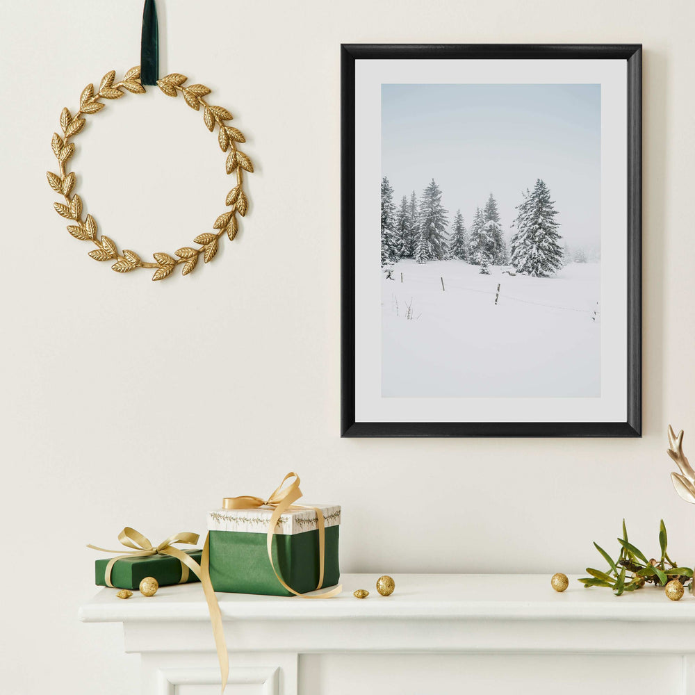 Pine Trees