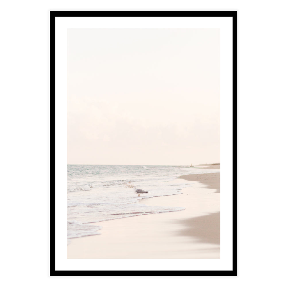 Sea Bird Photographic Seascape Wall Art