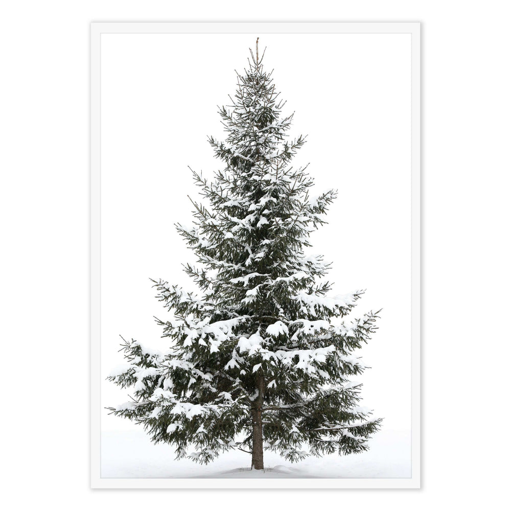 Snowy Tree