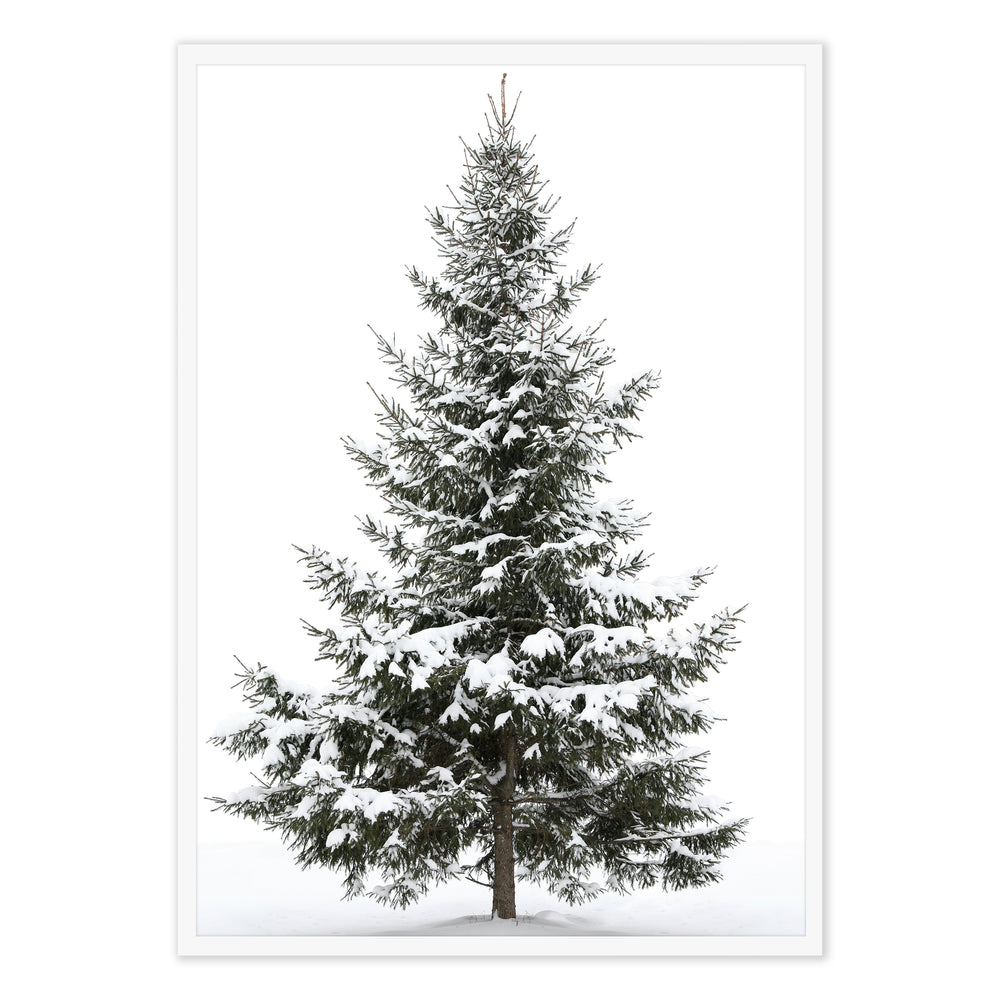 Snowy Tree