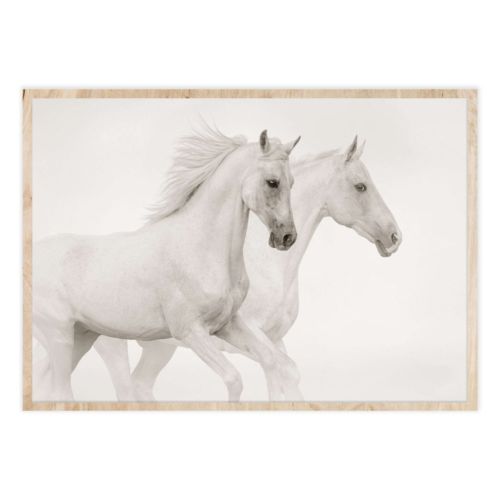 White Horses