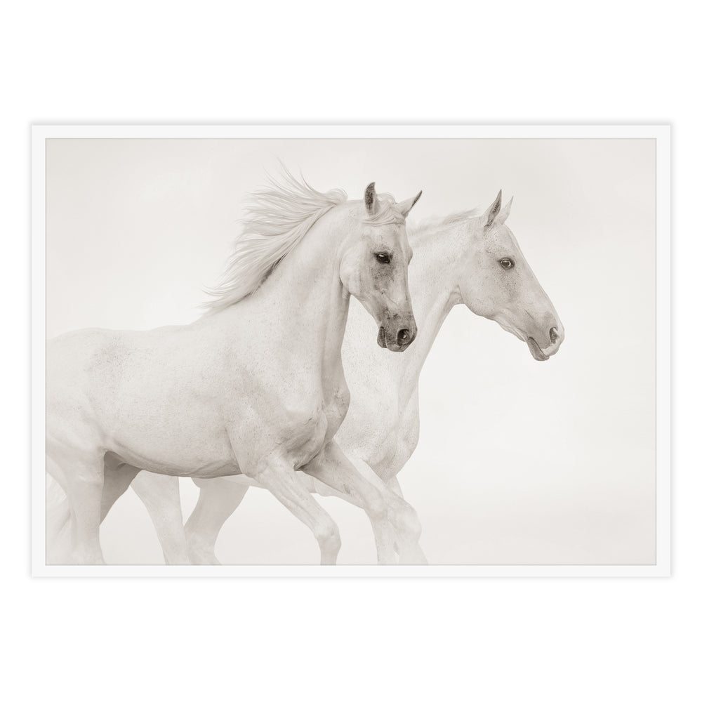 White Horses