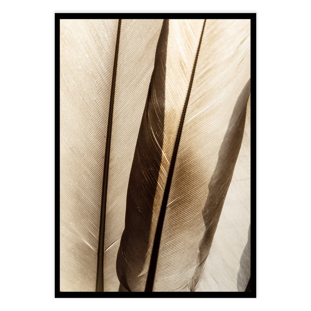 Wings Botanical Print No. 2