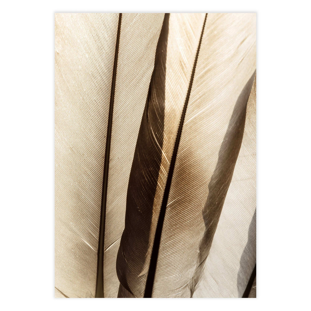 Wings Botanical Print No. 2