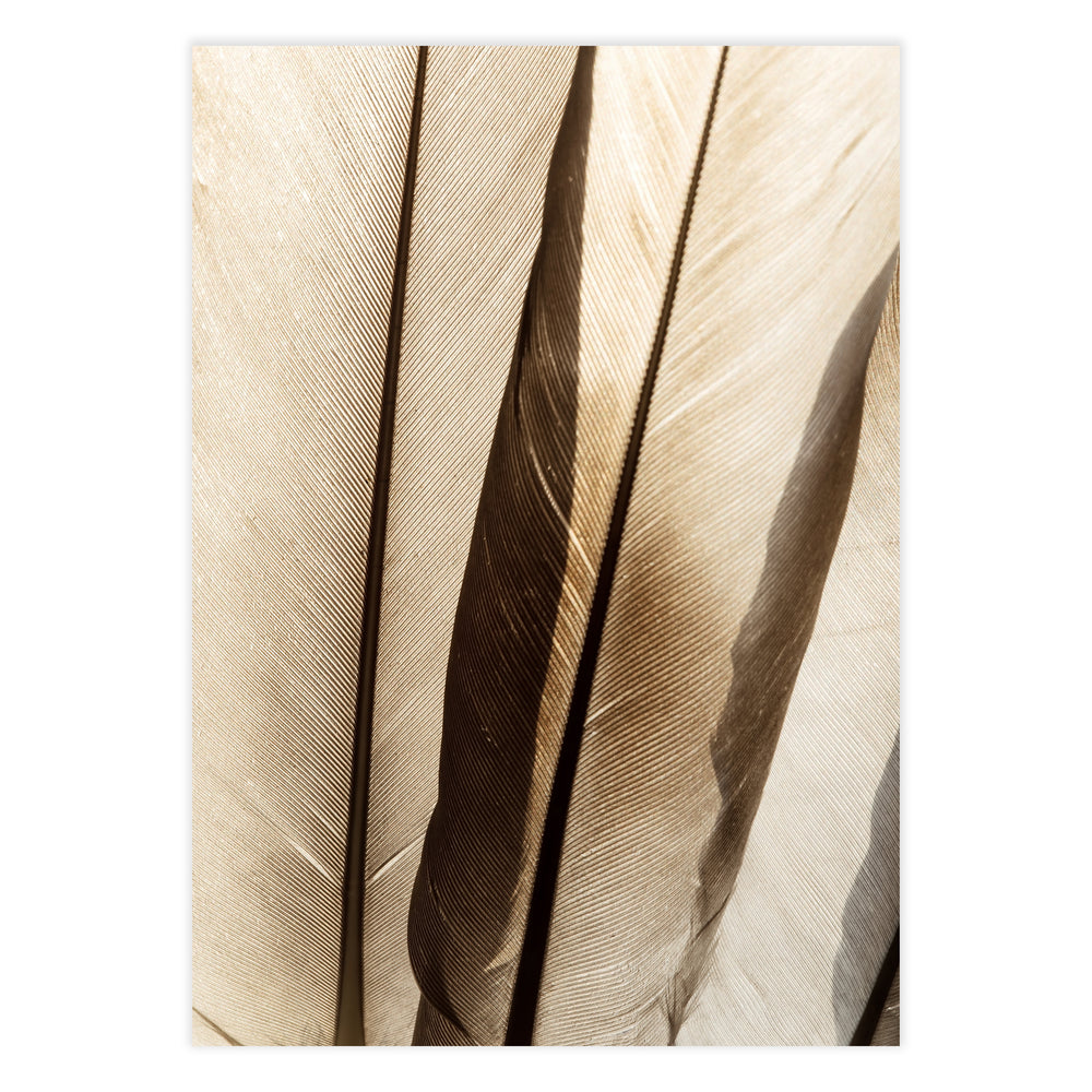 Wings Botanical Print No. 2