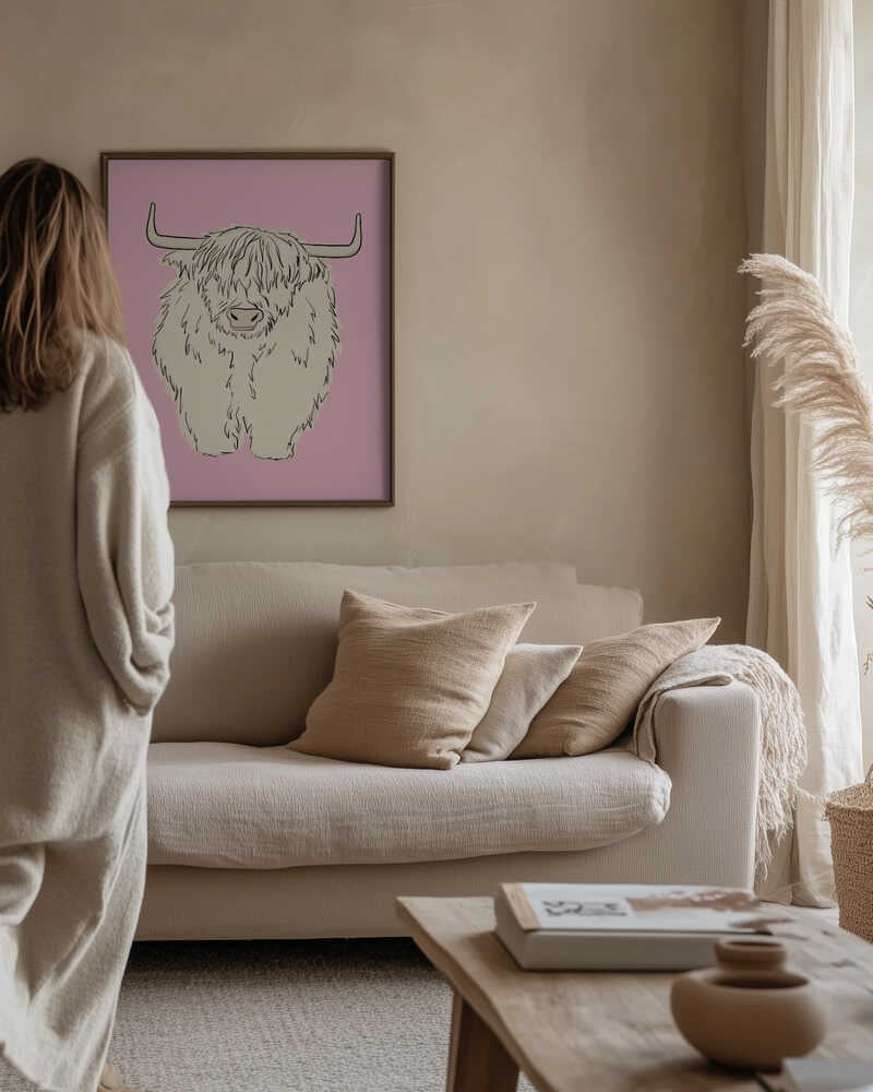Pink Highland Coo