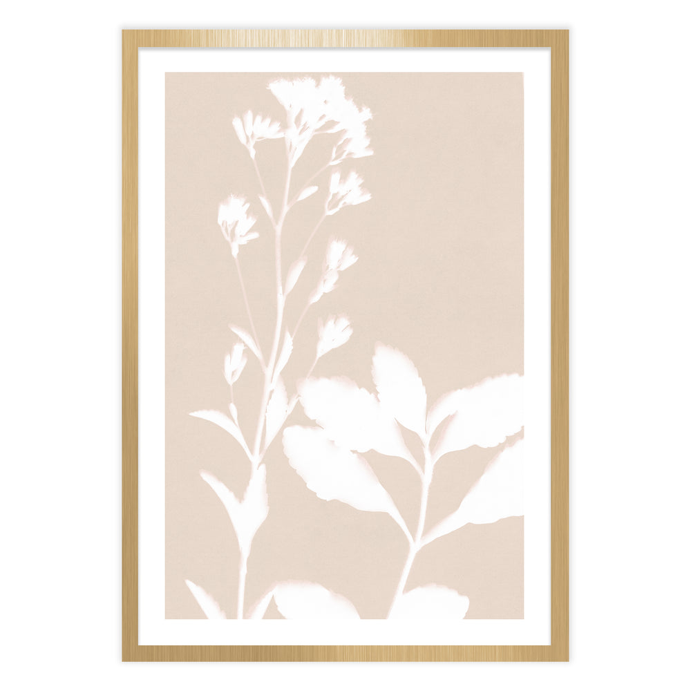 Neutral Bloom Botanic Print