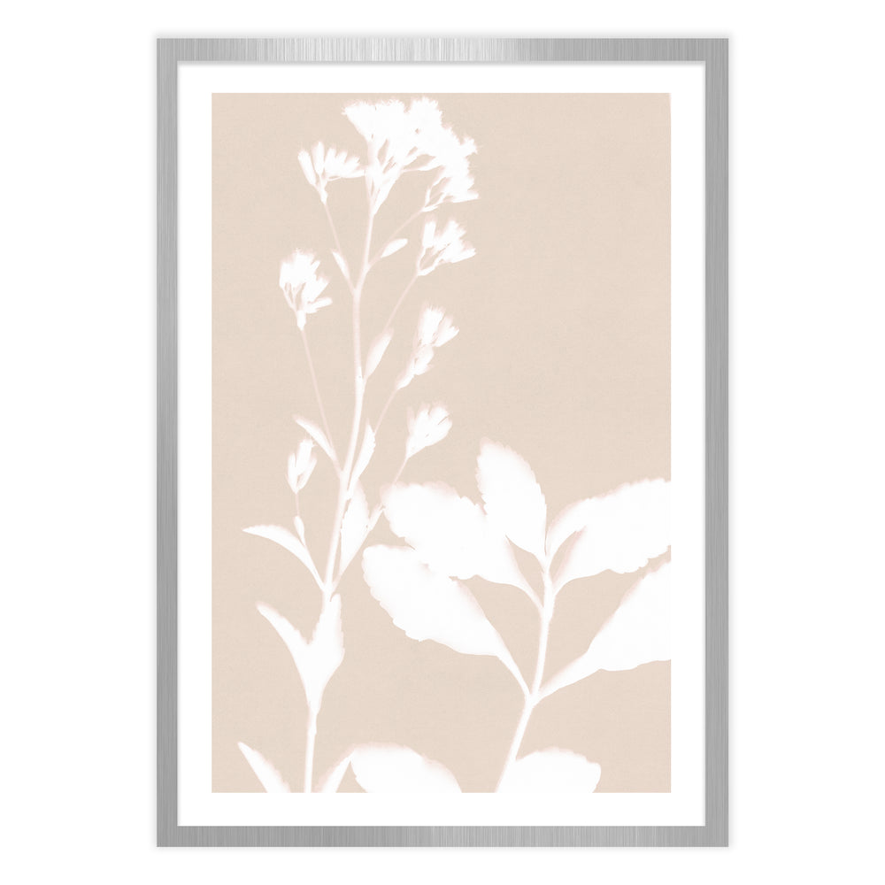 Neutral Bloom Botanic Print