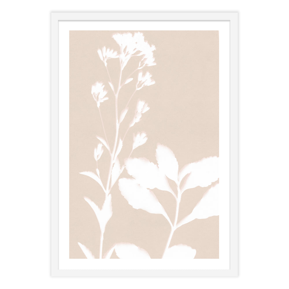 Neutral Bloom Botanic Print