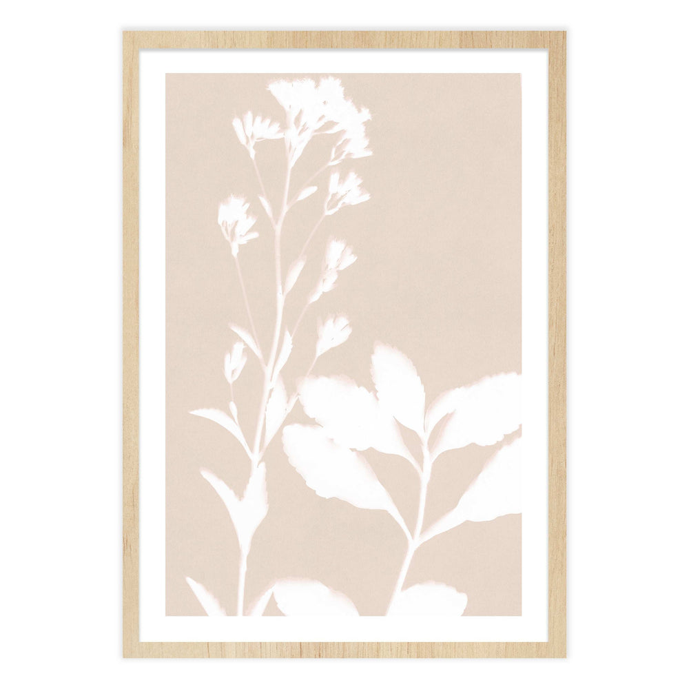 Neutral Bloom Botanic Print