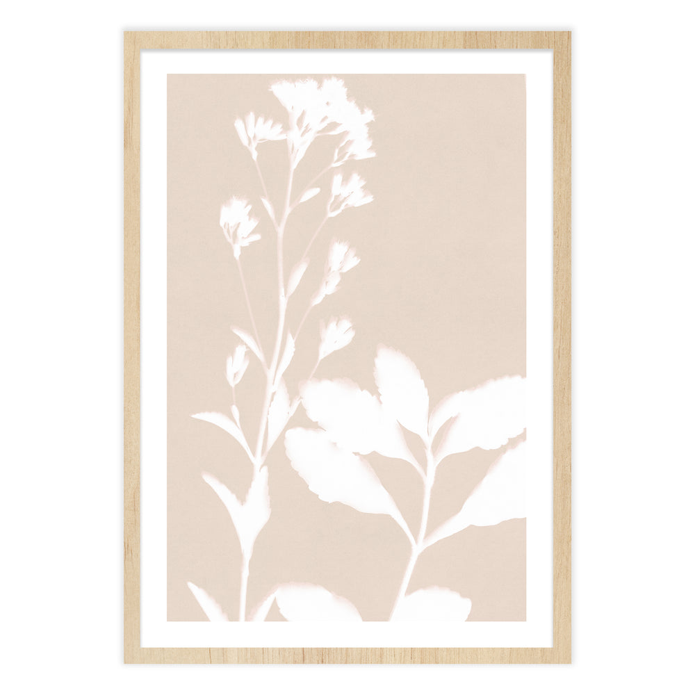 Neutral Bloom Botanic Print