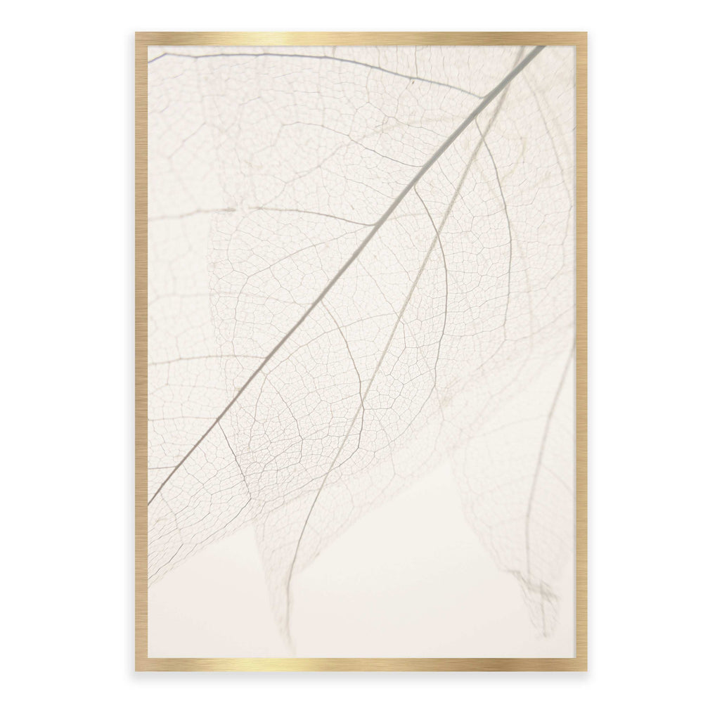 Calm Close Up Leaf Photographic Print 01