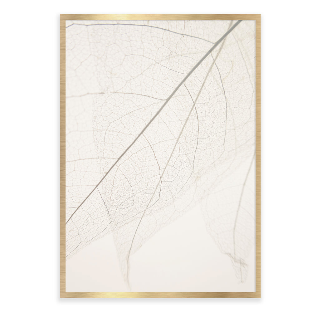 Calm Close Up Leaf Photographic Print 01
