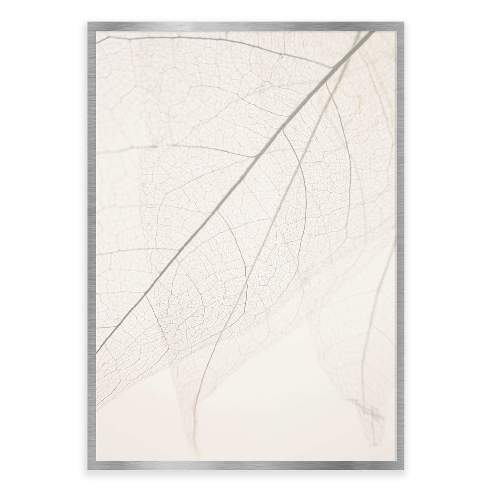 Calm Close Up Leaf Photographic Print 01