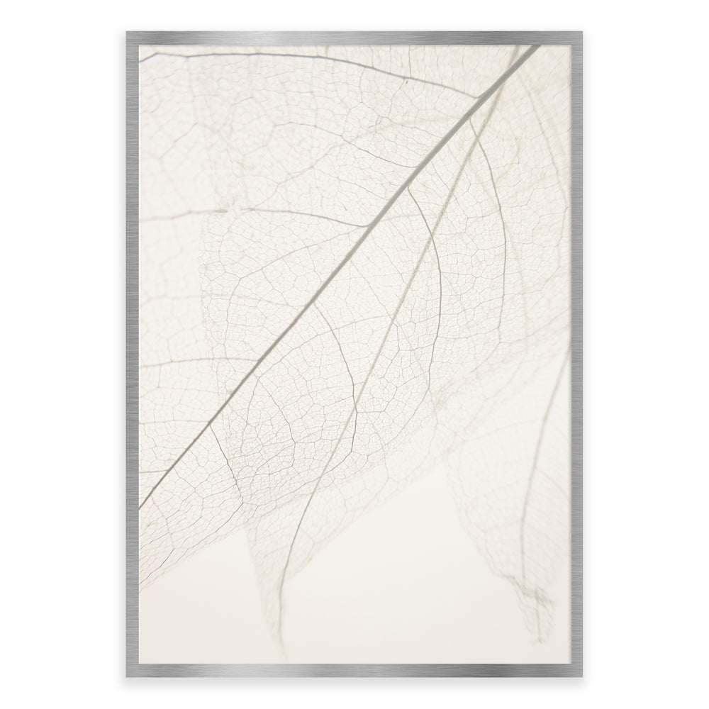 Calm Close Up Leaf Photographic Print 01