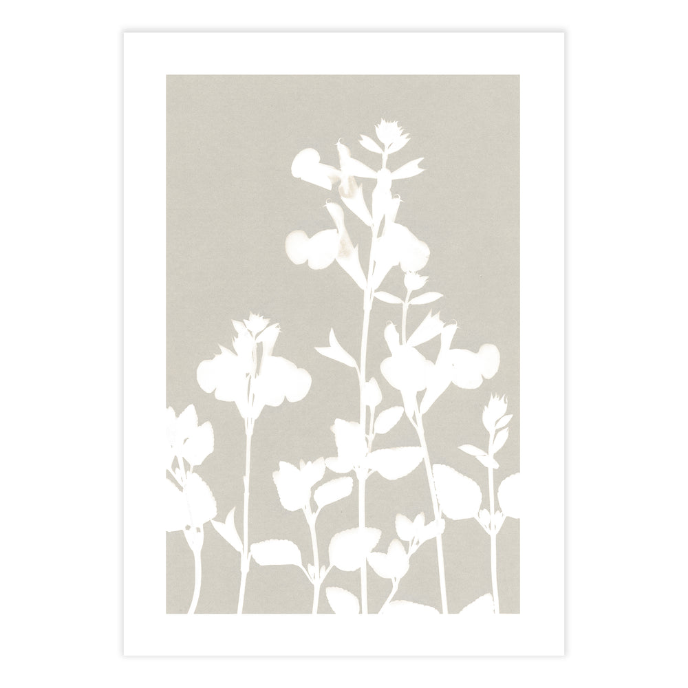 Neutral Flourish Botanic Print