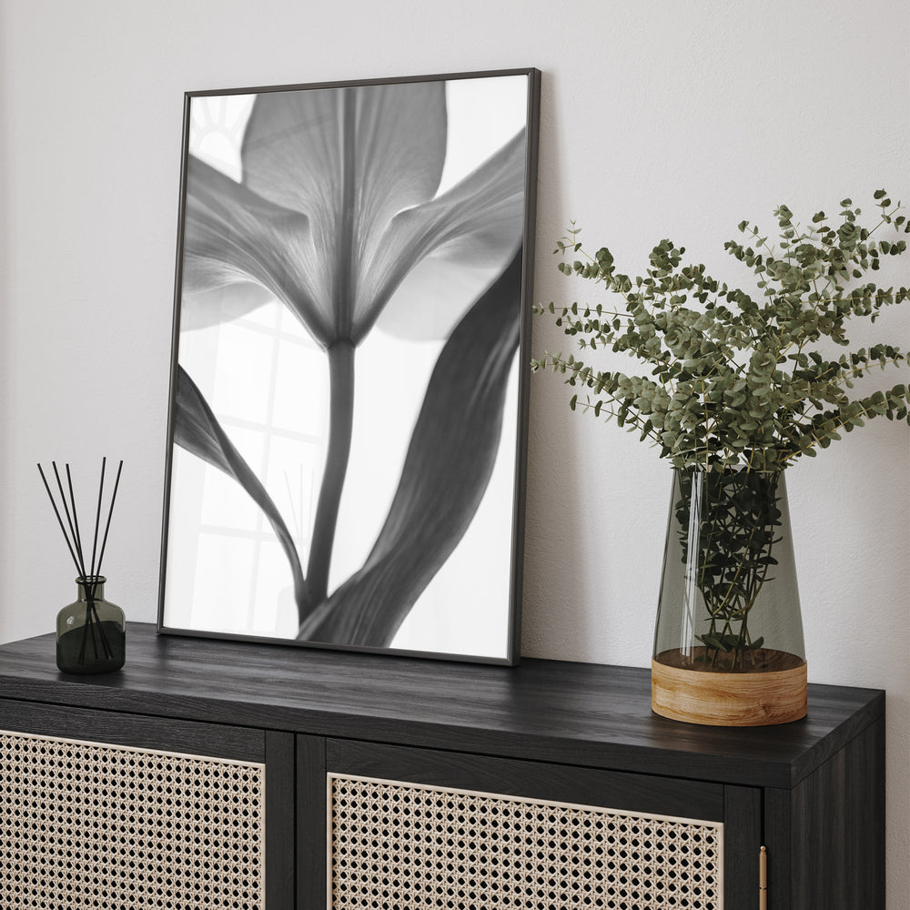 Black And White Lilly Flower Print