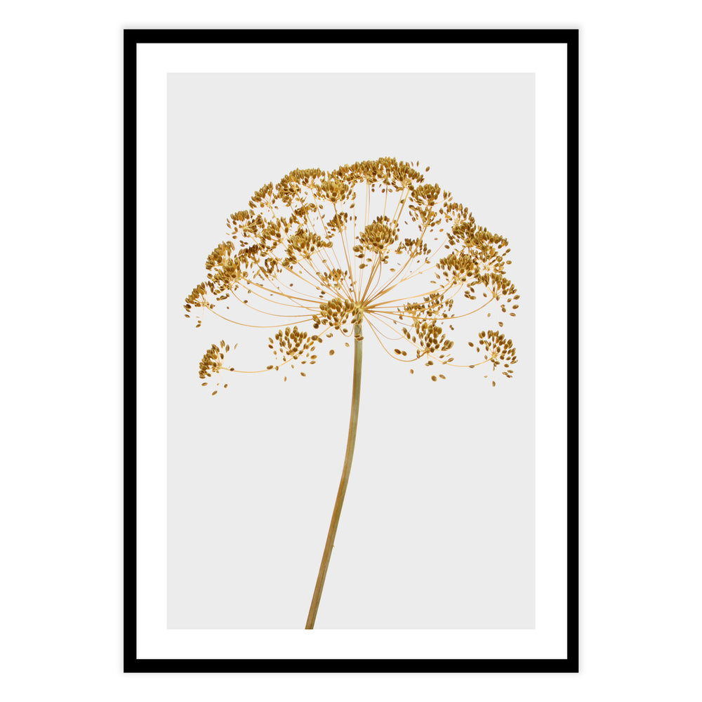 Mellow Yellow Botanic Print