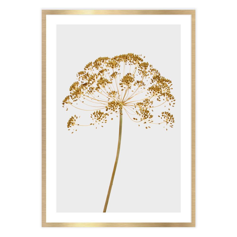 Mellow Yellow Botanic Print