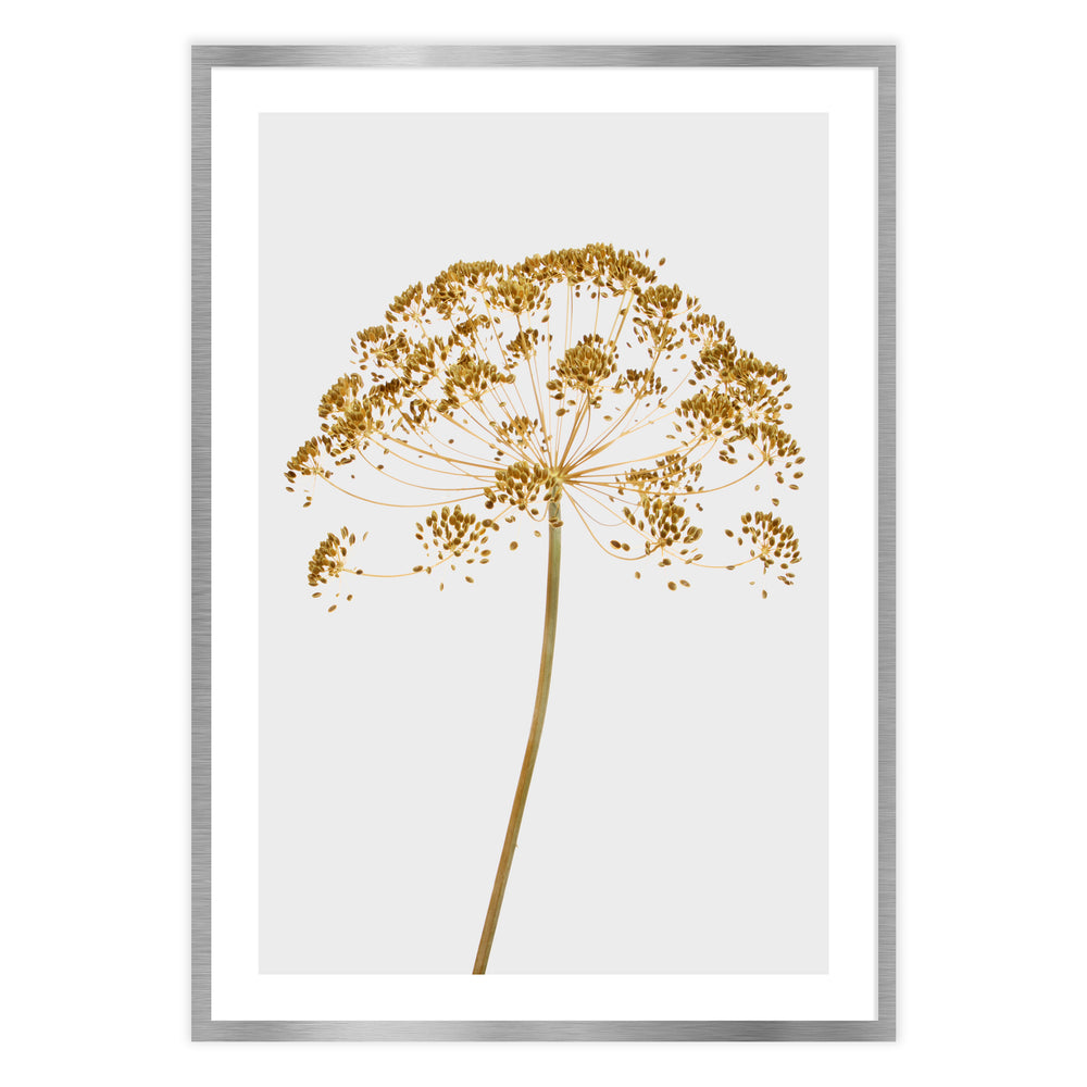Mellow Yellow Botanic Print