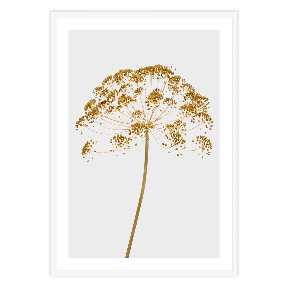 Mellow Yellow Botanic Print
