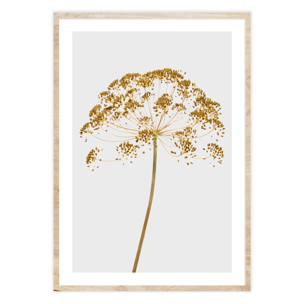 Mellow Yellow Botanic Print