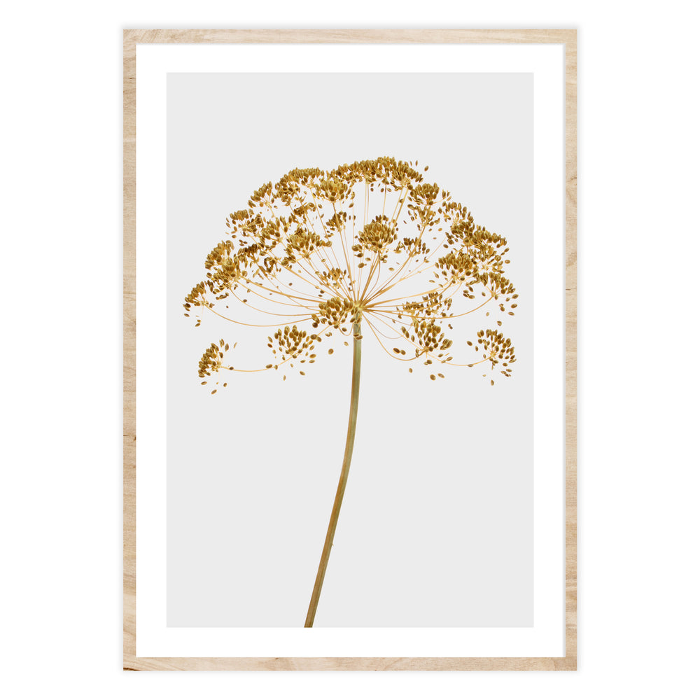 Mellow Yellow Botanic Print