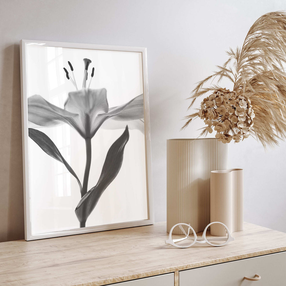 Monochrome Open Lilly Botanical Print