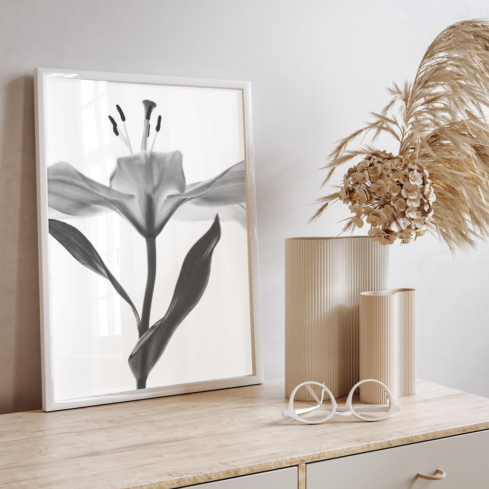 Monochrome Open Lilly Botanical Print