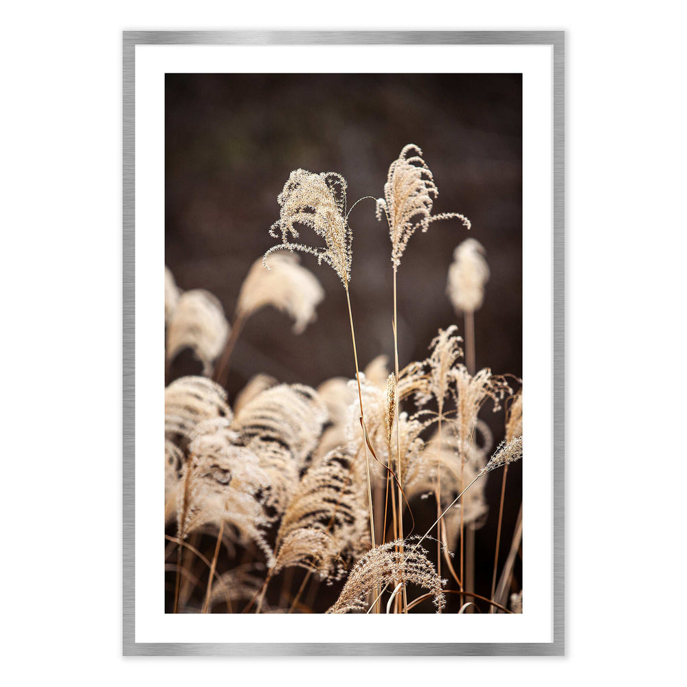 Mountain Grasses Photographic Print