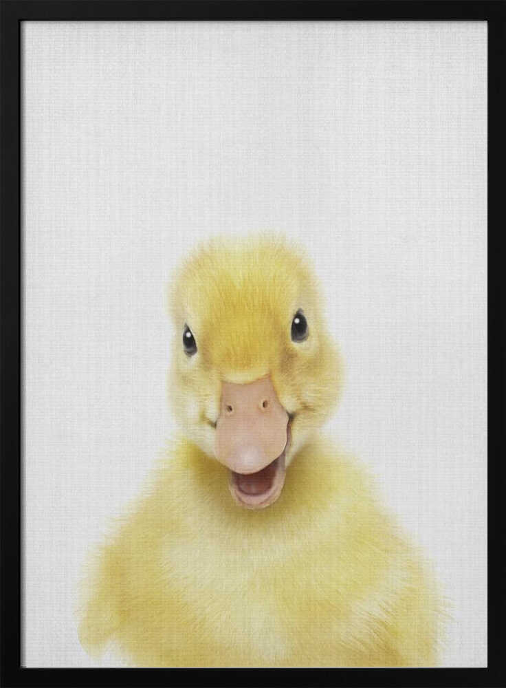 Smiling Baby Duck