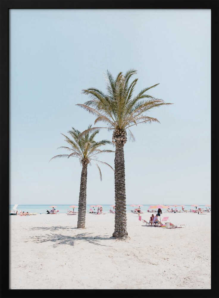 Tropical Palm Beach