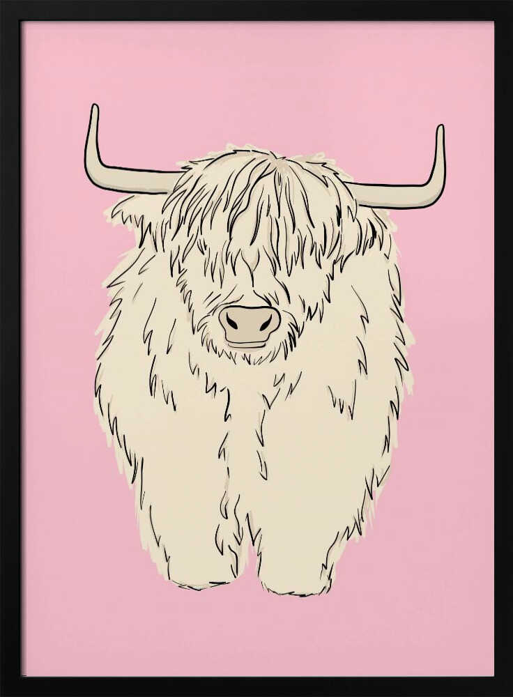 Pink Highland Coo