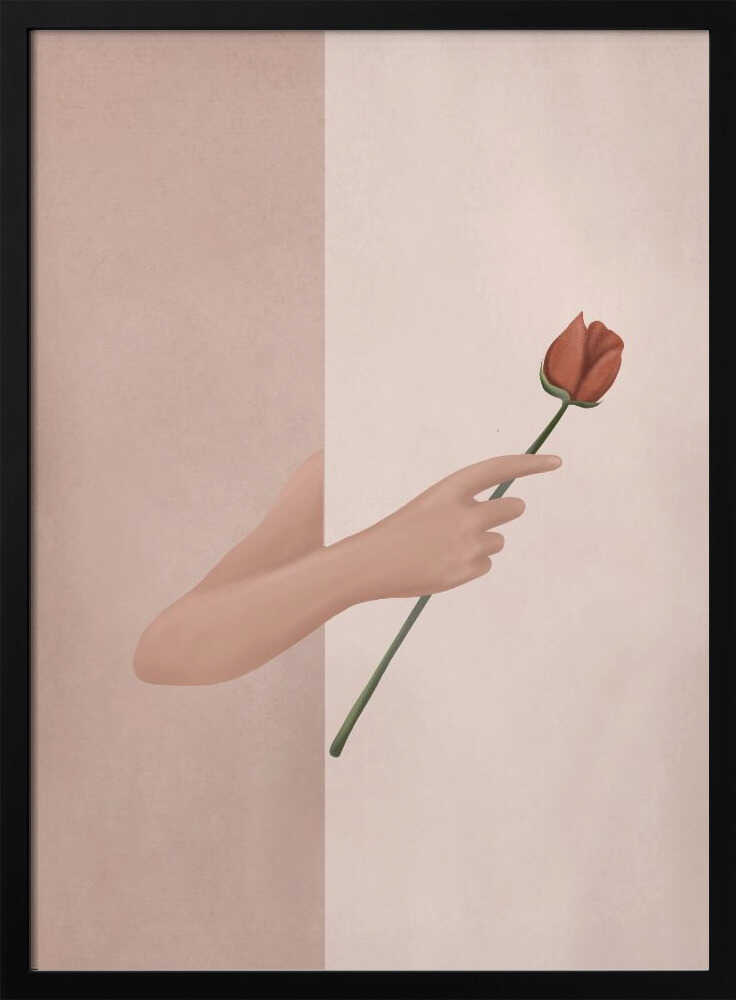 One Rose Flower