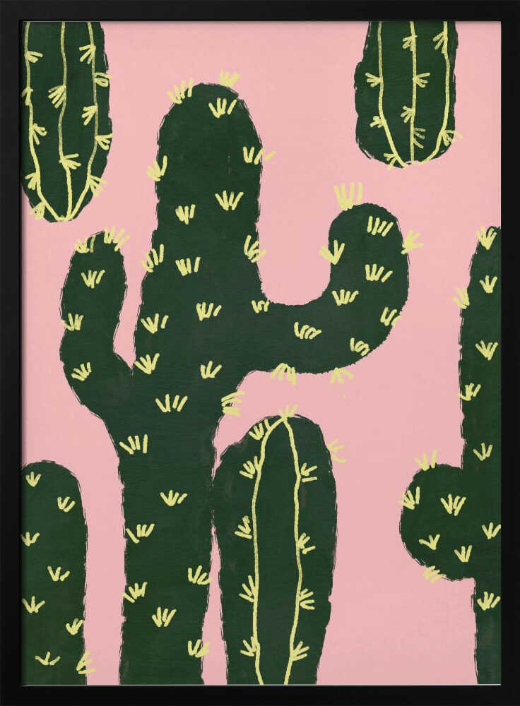 Cactuses