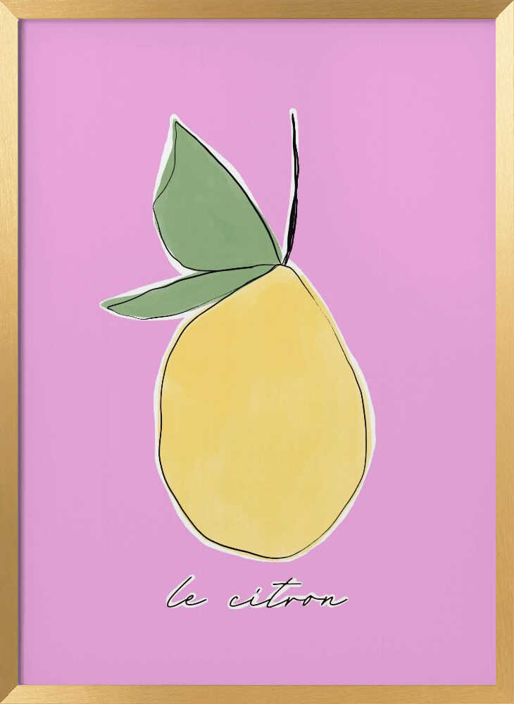 Citrus Delight