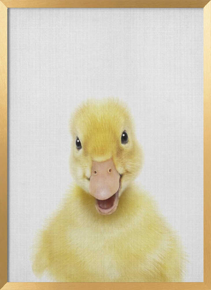 Smiling Baby Duck