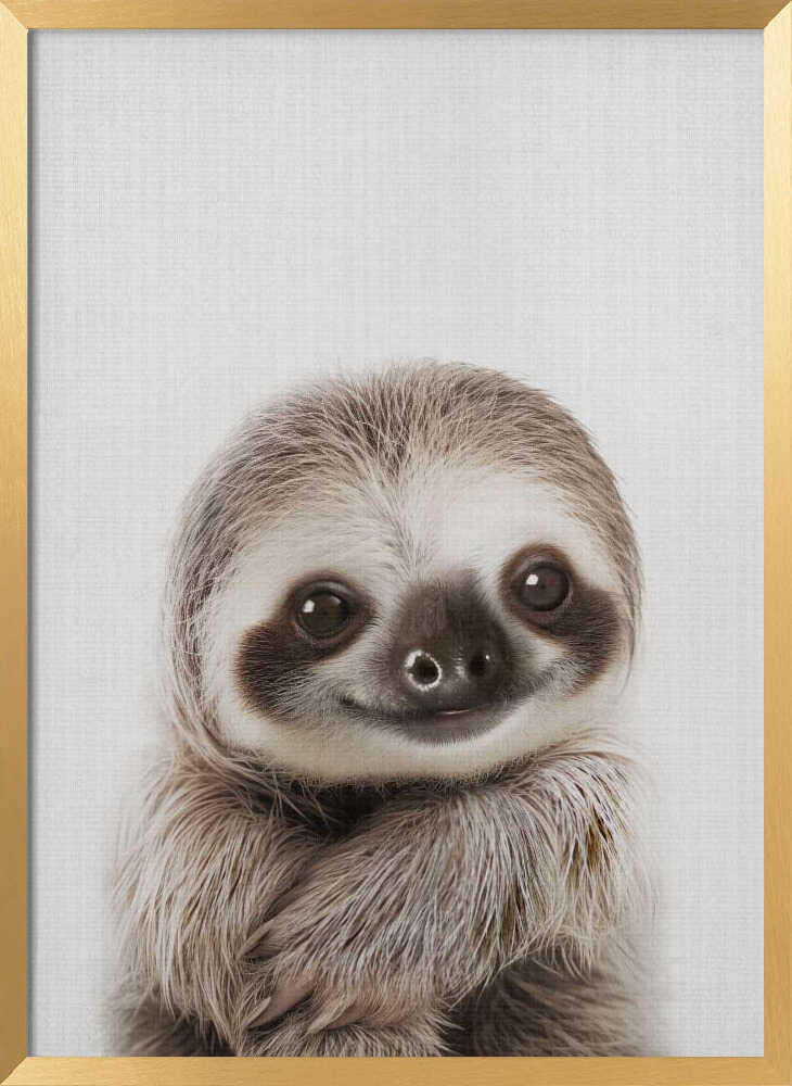 Sweet Baby Sloth Smile