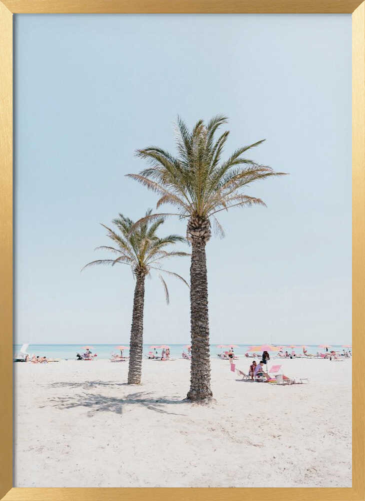 Tropical Palm Beach
