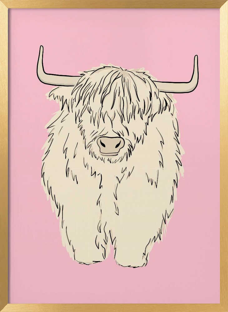 Pink Highland Coo