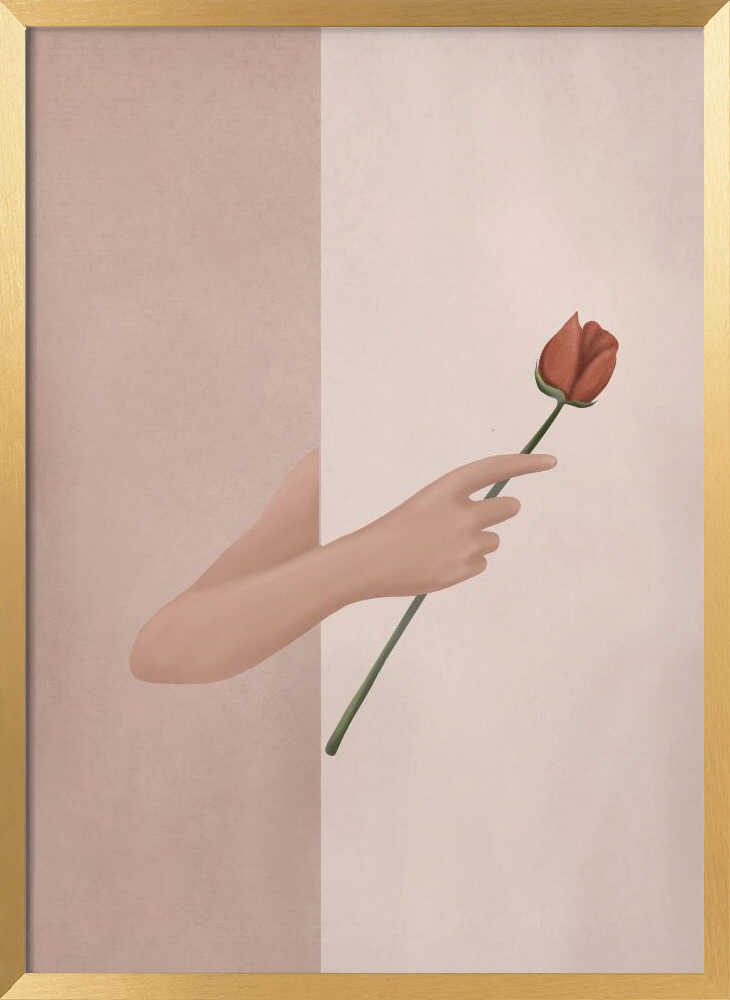 One Rose Flower