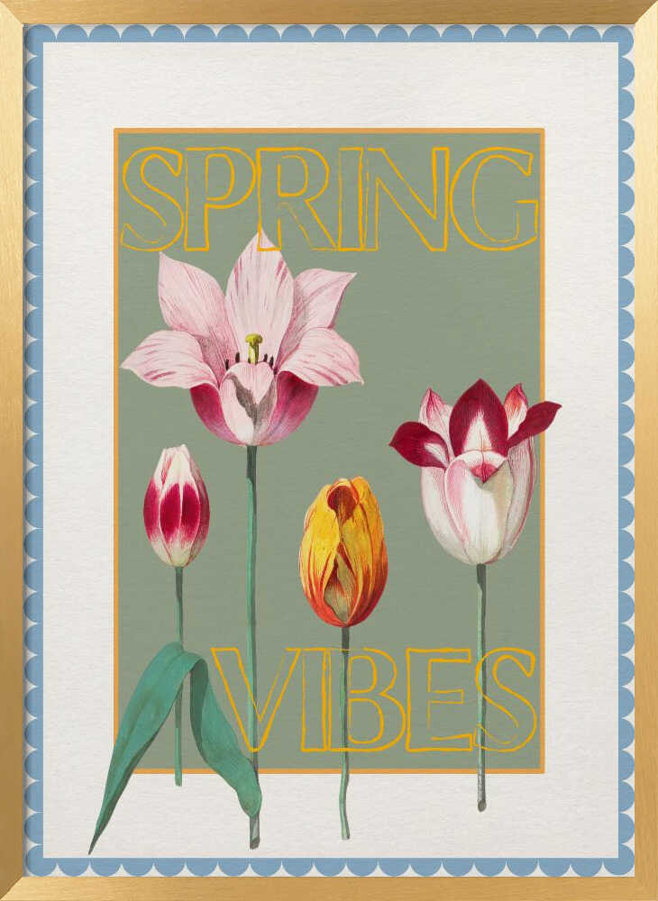 Spring Tulips Vibes