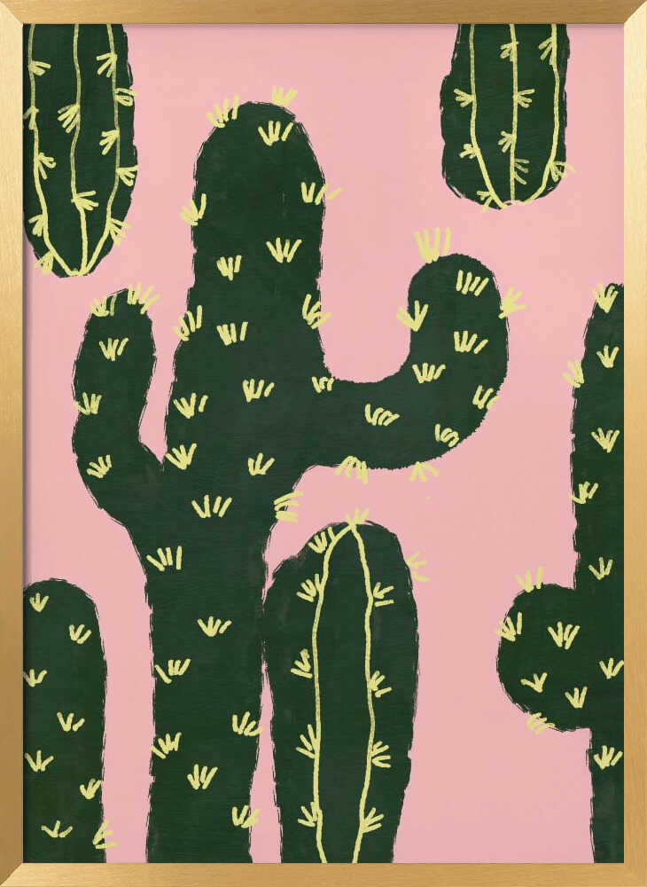 Cactuses