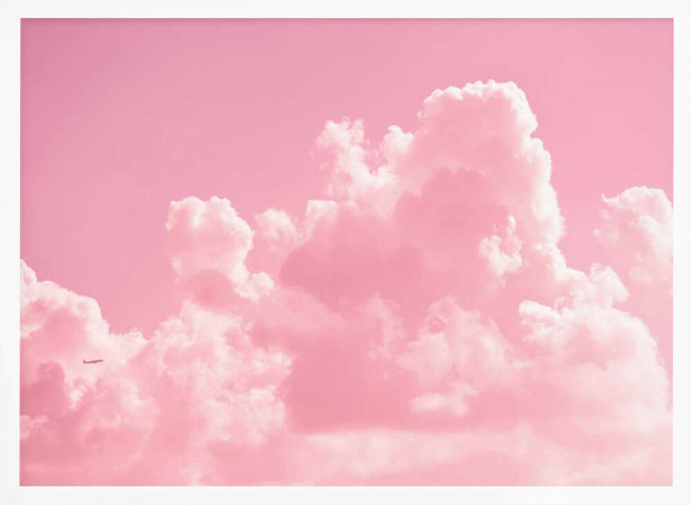 Pastel Sky Flight