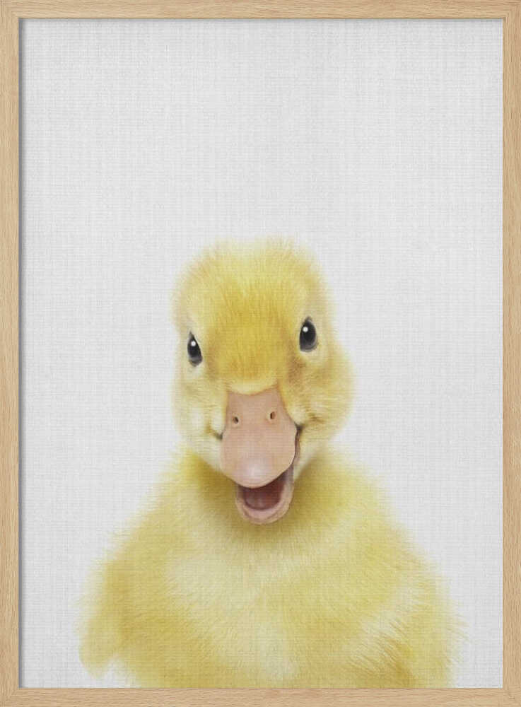 Smiling Baby Duck