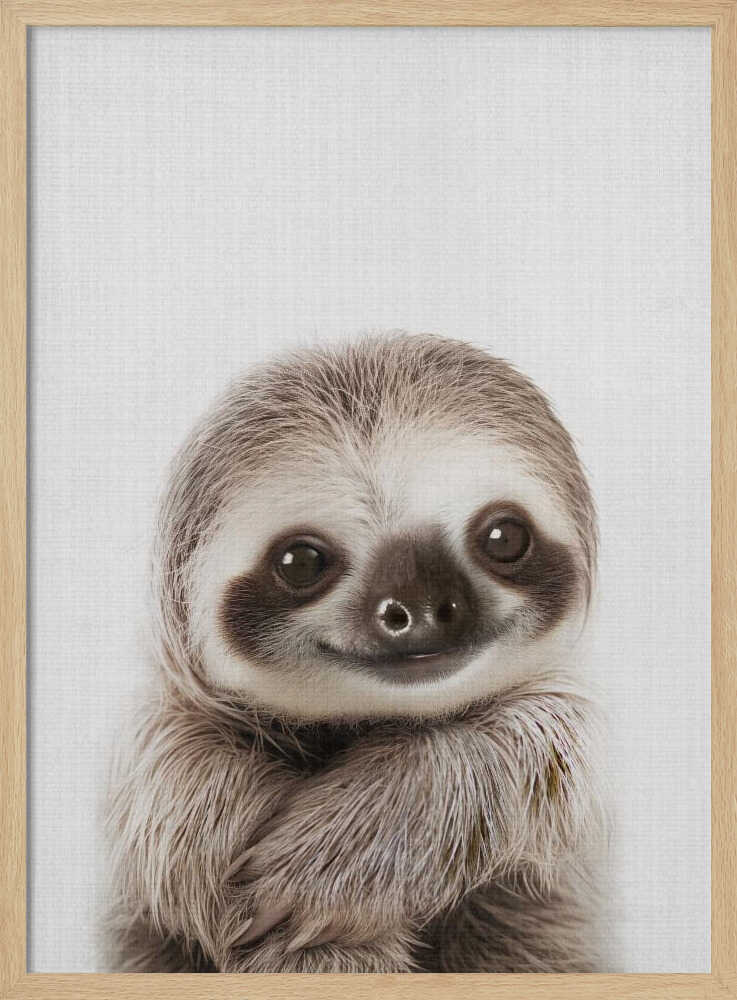Sweet Baby Sloth Smile