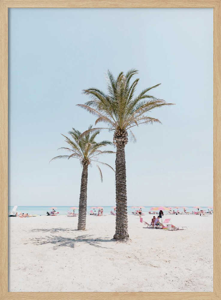 Tropical Palm Beach